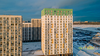 Невская Долина корпус 1.1