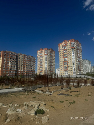 Мирапорт