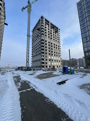 Темп