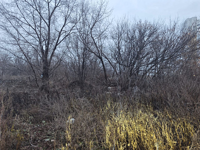 г. Оренбург