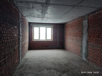 Березовая роща