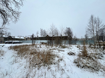 Северные тона