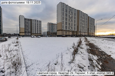 Цветной город
