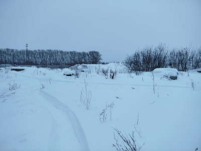 Расцветай на Зорге